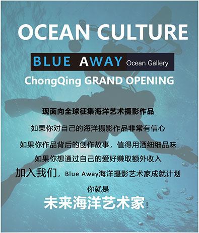 海洋摄影艺术家成长计划